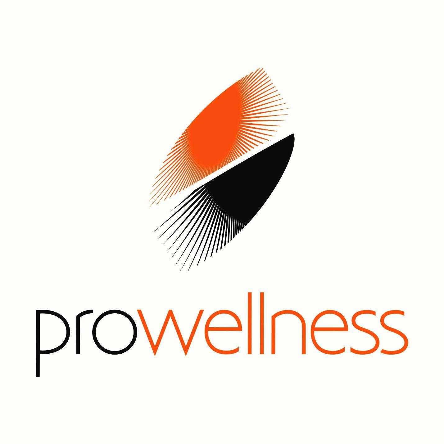 logo prowellness 1